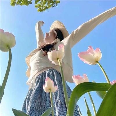 杂技亡命队封面